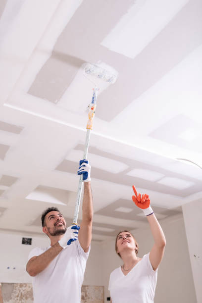 Osceola Mills, PA Mold Removal Company