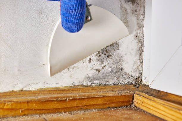 Best Indoor Air Quality Assessment  in Osceola Mills, PA