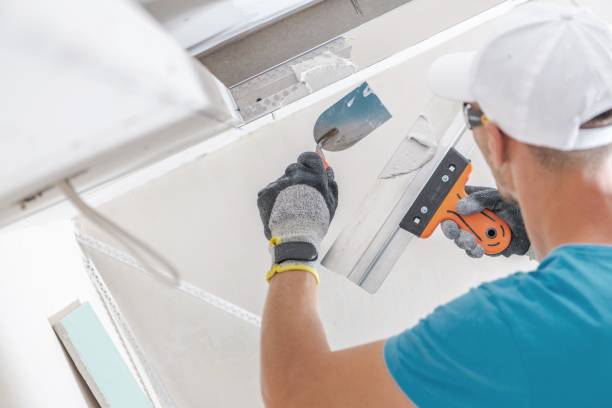 Best Post-Construction Mold Inspection  in Osceola Mills, PA